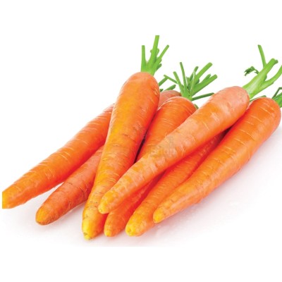 Морковь молодая 1 кг - купить в Ольгино