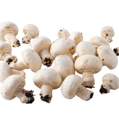 Шампиньоны свежие 500 г - купить в Ольгино